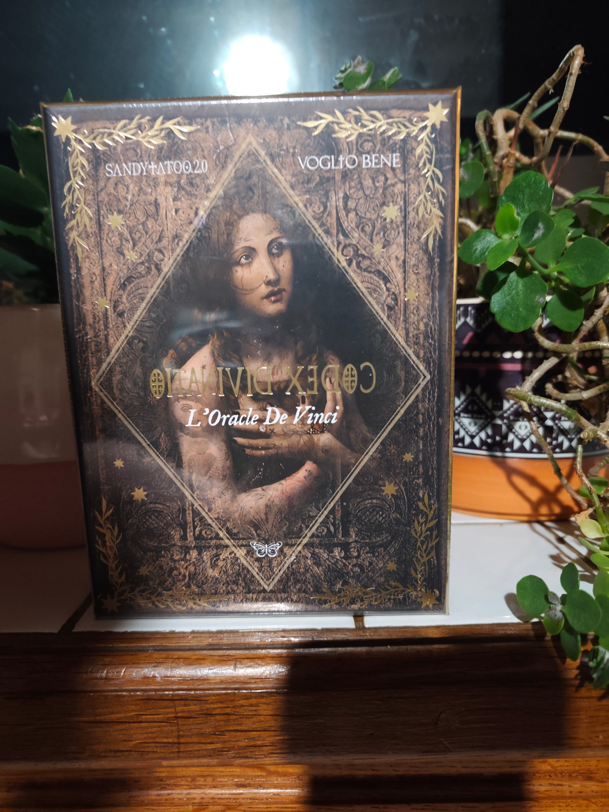Codex Divinatio – L’Oracle de Vinci