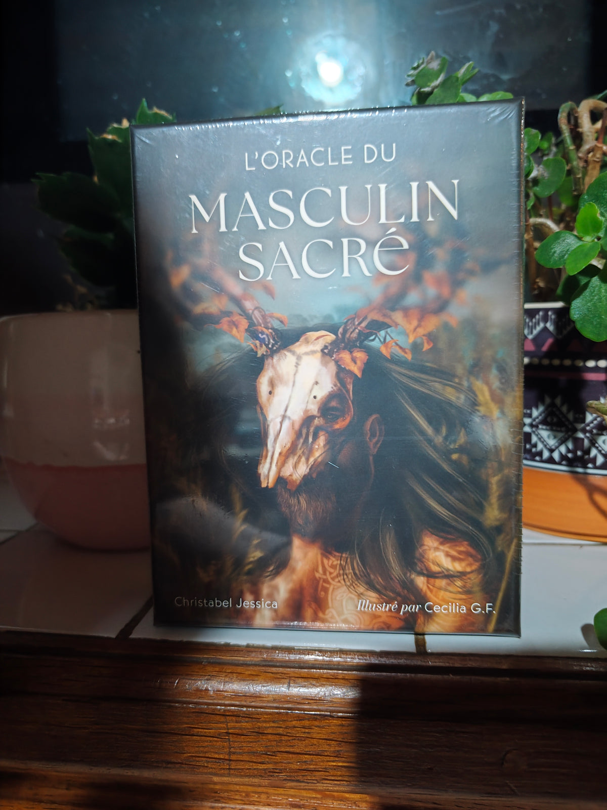 L’Oracle du masculin sacré – Jessica Christabel
