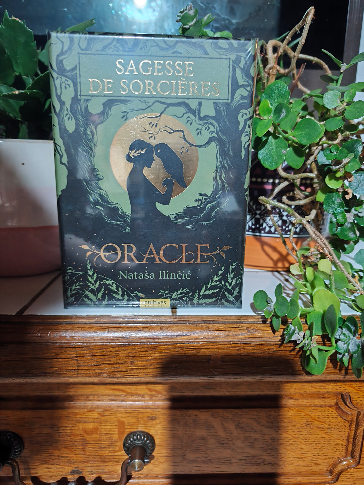 L’Oracle de la Sagesse des Sorcières – 48 cartes