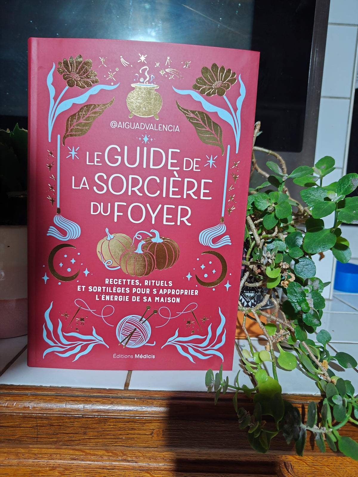 Le guide de la sorcière du foyer