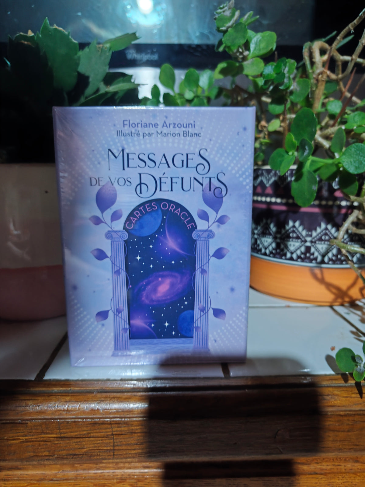 Messages de vos défunts – Floriane Arzouni