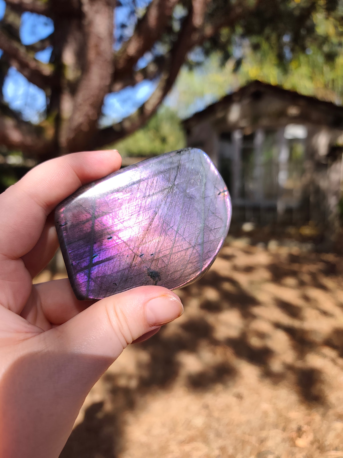 Labradorite Sunset orangée, violine et rose